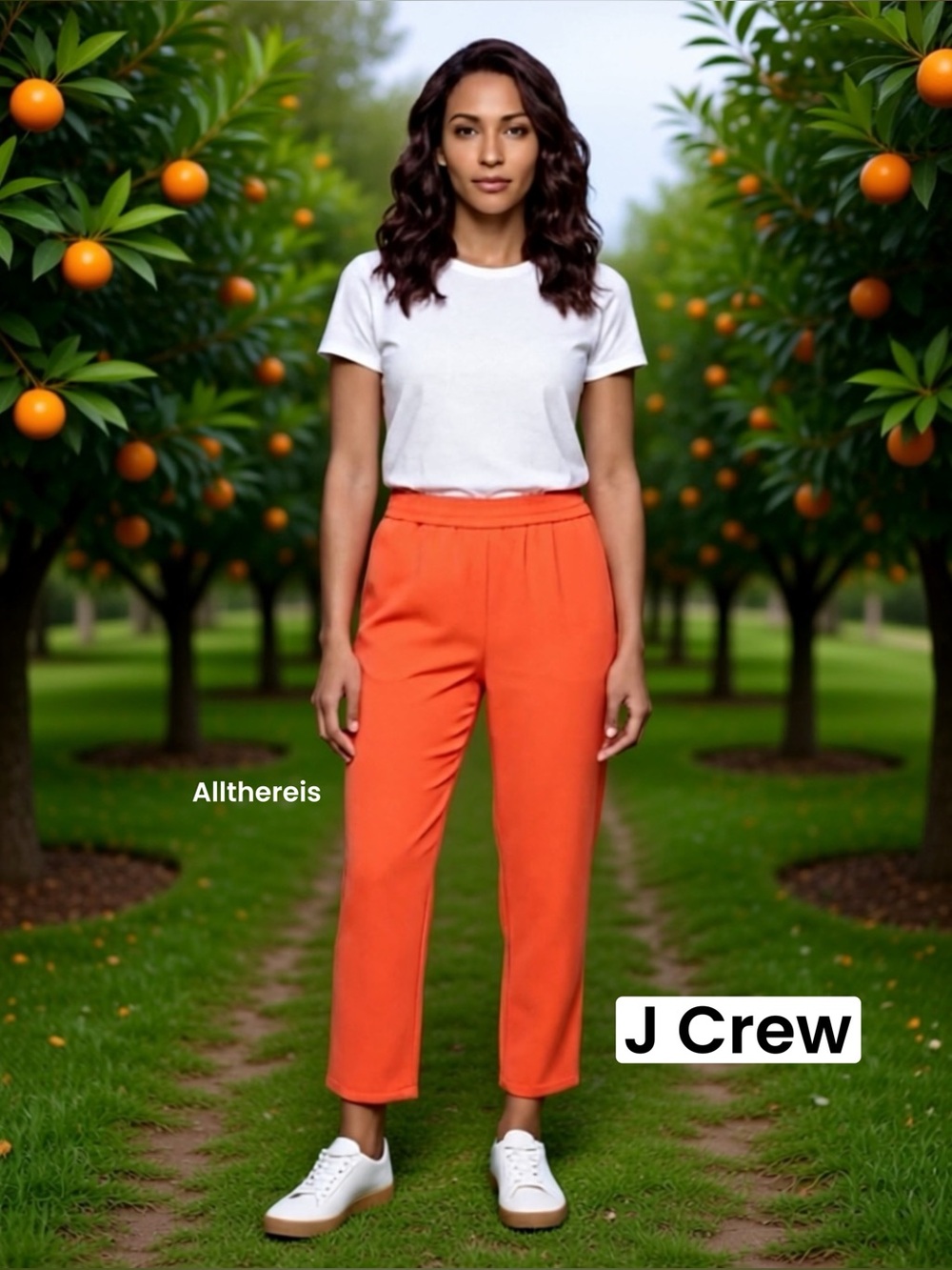 NWT J. Crew Reese pants 4 🍊